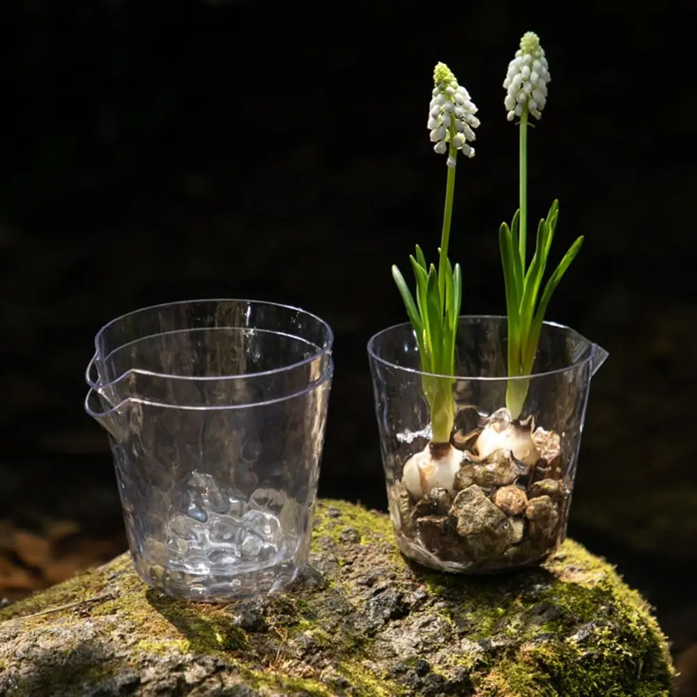 2pcs Transparent Self Sucking Water Splash Pot Thicken Double-layer Seedling Tray Detachable Durable Flower Pot Lazy Potted
2pcs Transparent Self Sucking Water Splash Pot Thicken Double-layer Seedling Tray Detachable Durable Flower Pot Lazy Potted