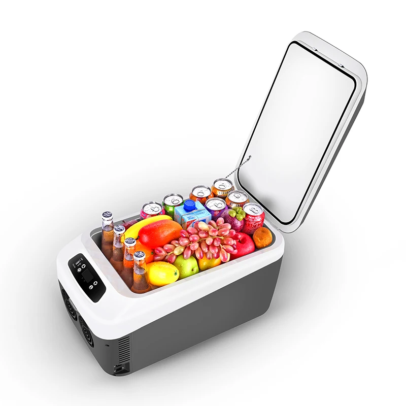 Hot Sale 24 Litre Car Fridge ,refrigerator Small Household Mini Car Fridge 12v 220v Cooelr
Hot Sale 24 Litre Car Fridge ,refrigerator Small Household Mini Car Fridge 12v 220v Cooelr