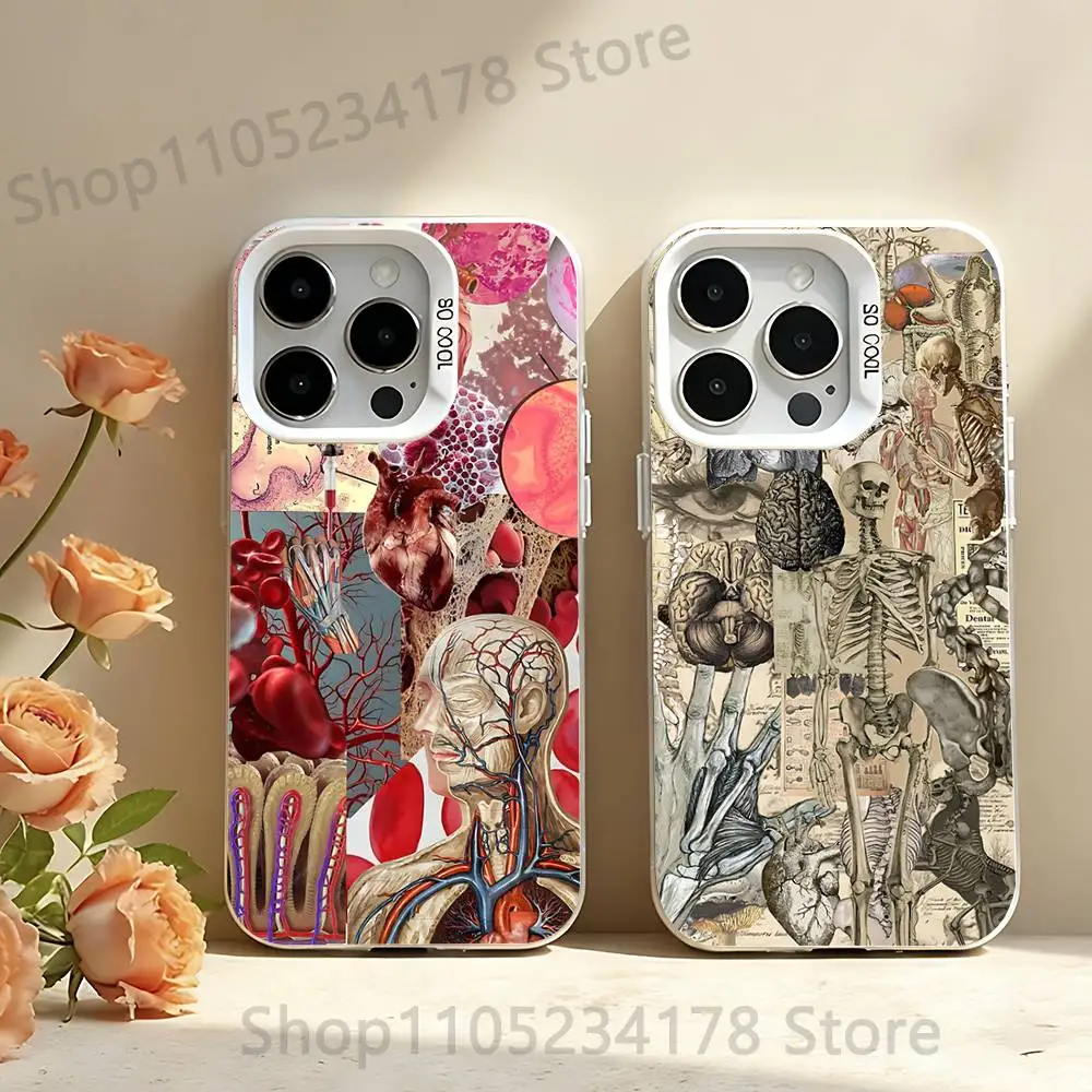 Medical Human A-Anatomy Phone Case For iPhone 12,16,17,14,13,15,11,Pro,XS,Max,Plus,Mini,SE4,E White Matte Shockproof Cover
Medical Human A-Anatomy Phone Case For iPhone 12,16,17,14,13,15,11,Pro,XS,Max,Plus,Mini,SE4,E White Matte Shockproof Cover