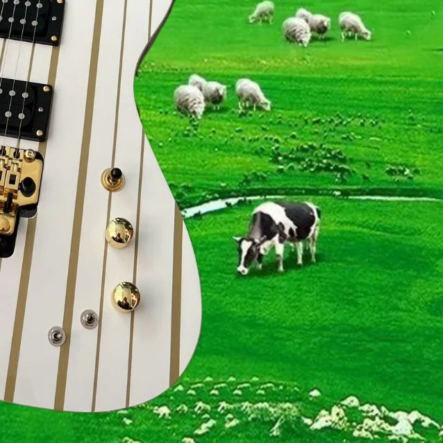 Electric guitar, factory provides fast and free delivery, multiple styles, high-end quality, customizable @KU12
Electric guitar, factory provides fast and free delivery, multiple styles, high-end quality, customizable @KU12