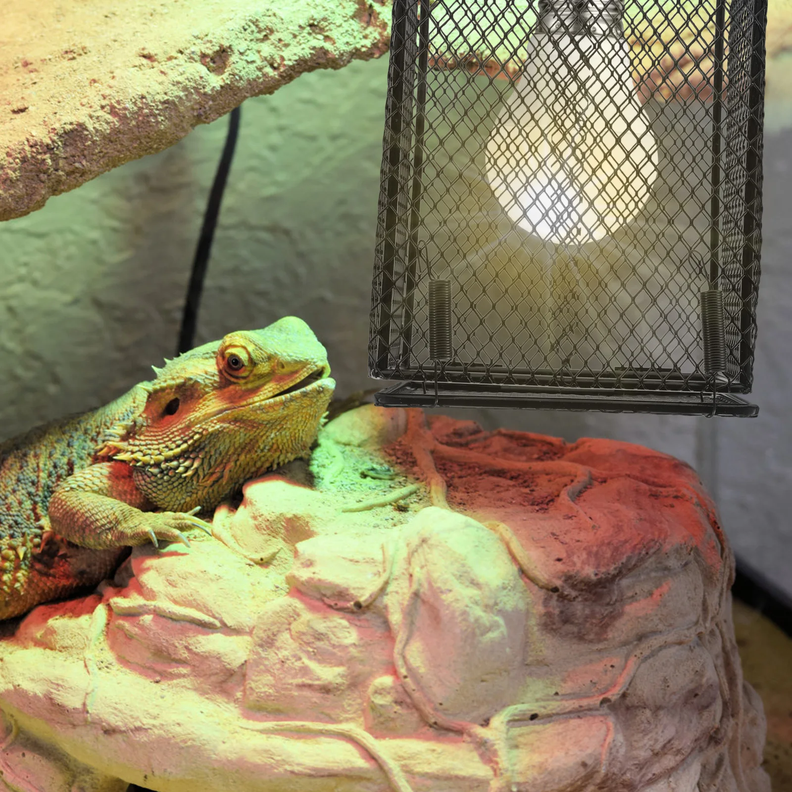 Reptile Lampshade Shell Anti-Scalding Protective Cover Sturdy Design Durable Metal Reptile Heating Lamp Cover Heat Lamp Shade
Reptile Lampshade Shell Anti-Scalding Protective Cover Sturdy Design Durable Metal Reptile Heating Lamp Cover Heat Lamp Shade