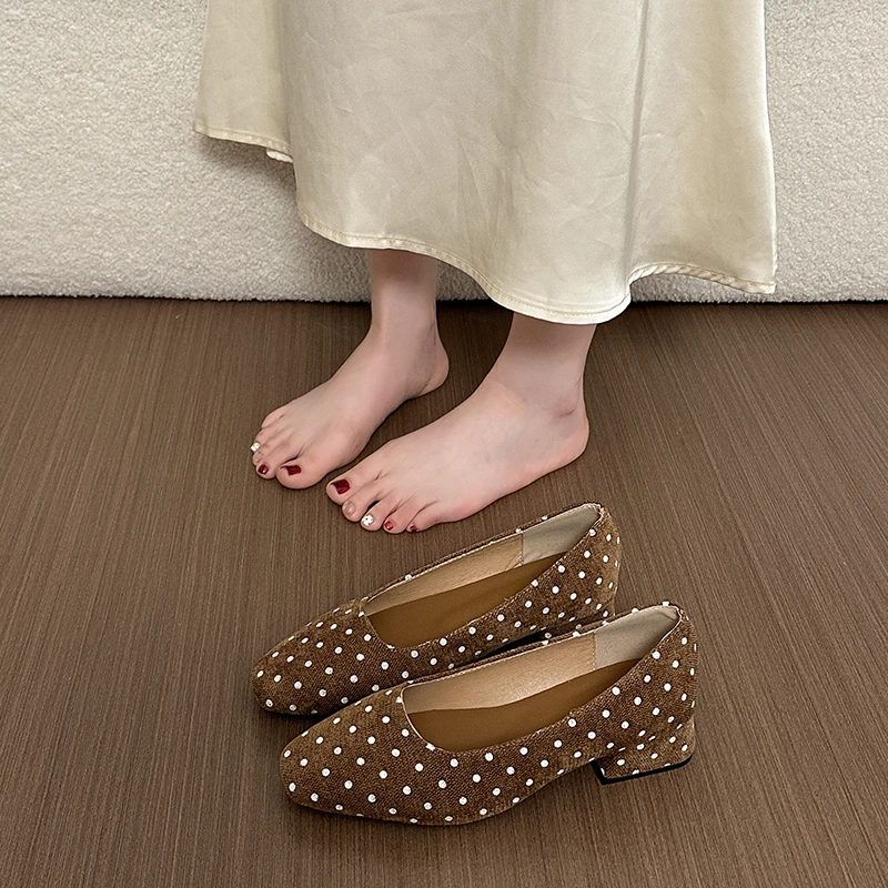 Sweet Style Polka Dot Mary Jane Shoes for Women 2026 Thick Heel Summer Single Shoes Slip-On Elegant French Commuter
Sweet Style Polka Dot Mary Jane Shoes for Women 2026 Thick Heel Summer Single Shoes Slip-On Elegant French Commuter