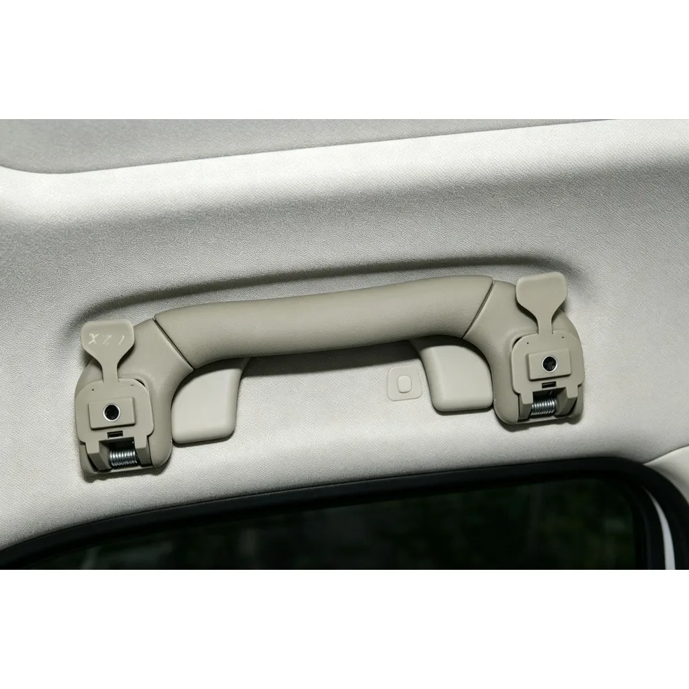 Brand New Genuine Roof Handle Reading Lights Rear Roof Handles Light Roof Grab Handle for Buick Regal Right
Brand New Genuine Roof Handle Reading Lights Rear Roof Handles Light Roof Grab Handle for Buick Regal Right