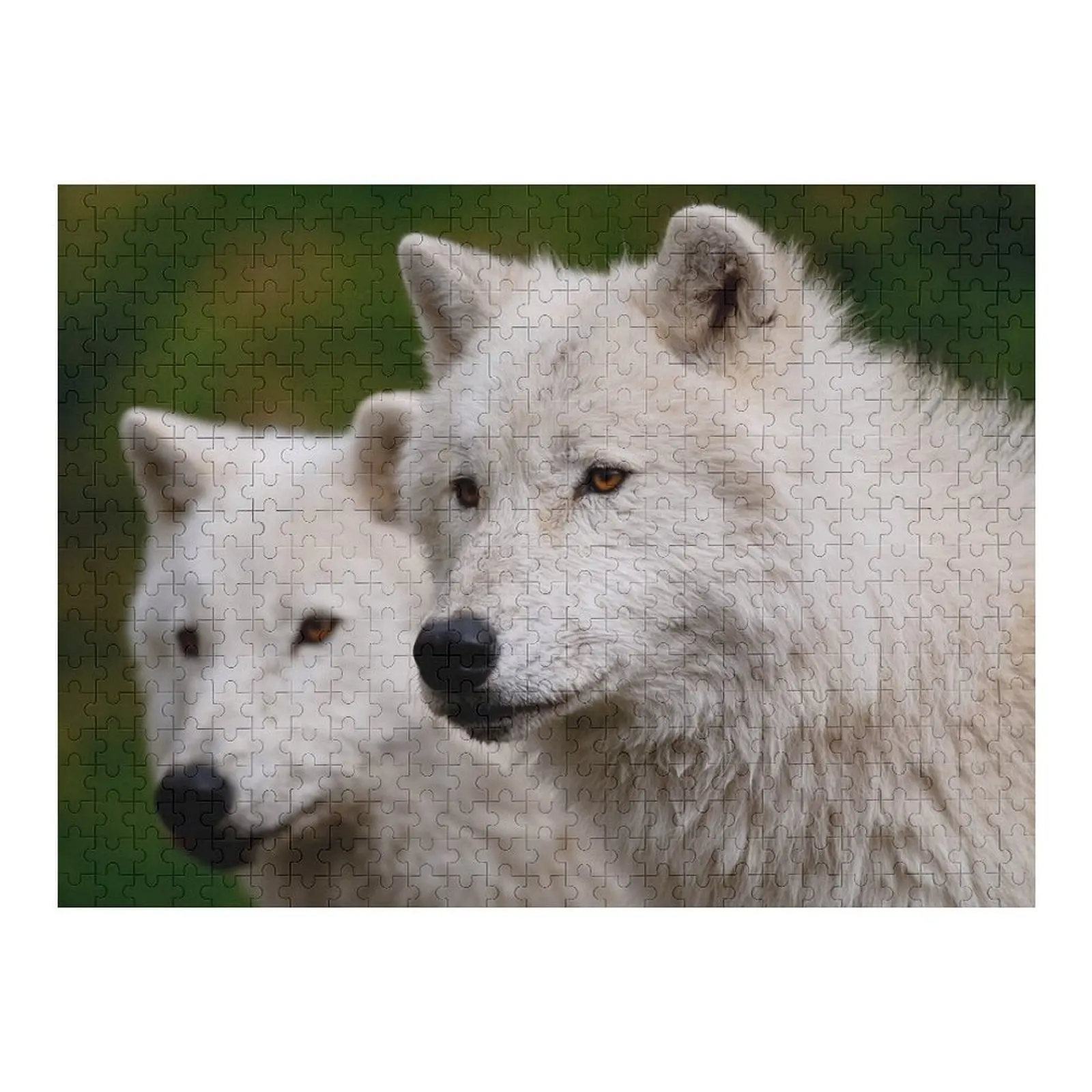 Арктические волки-пазлы Iq Scale Motors Name Деревянная игрушка Рождественские игрушки-пазлы
Арктические волки-пазлы Iq Scale Motors Name Деревянная игрушка Рождественские игрушки-пазлы