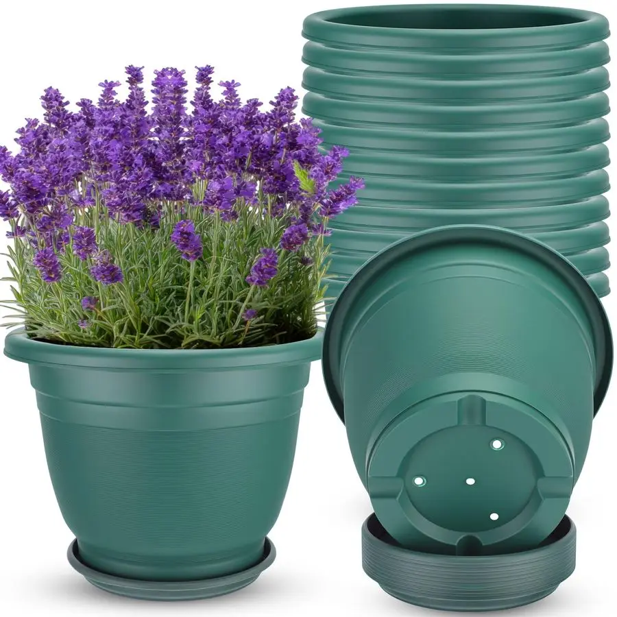Набор из 12 пластиковых круглых горшков для растений с поддонами, для рассады, с отверстиями, из полимерной смолы, для цветов и растений, для стартового питомника
Набор из 12 пластиковых круглых горшков для растений с поддонами, для рассады, с отверстиями, из полимерной смолы, для цветов и растений, для стартового питомника