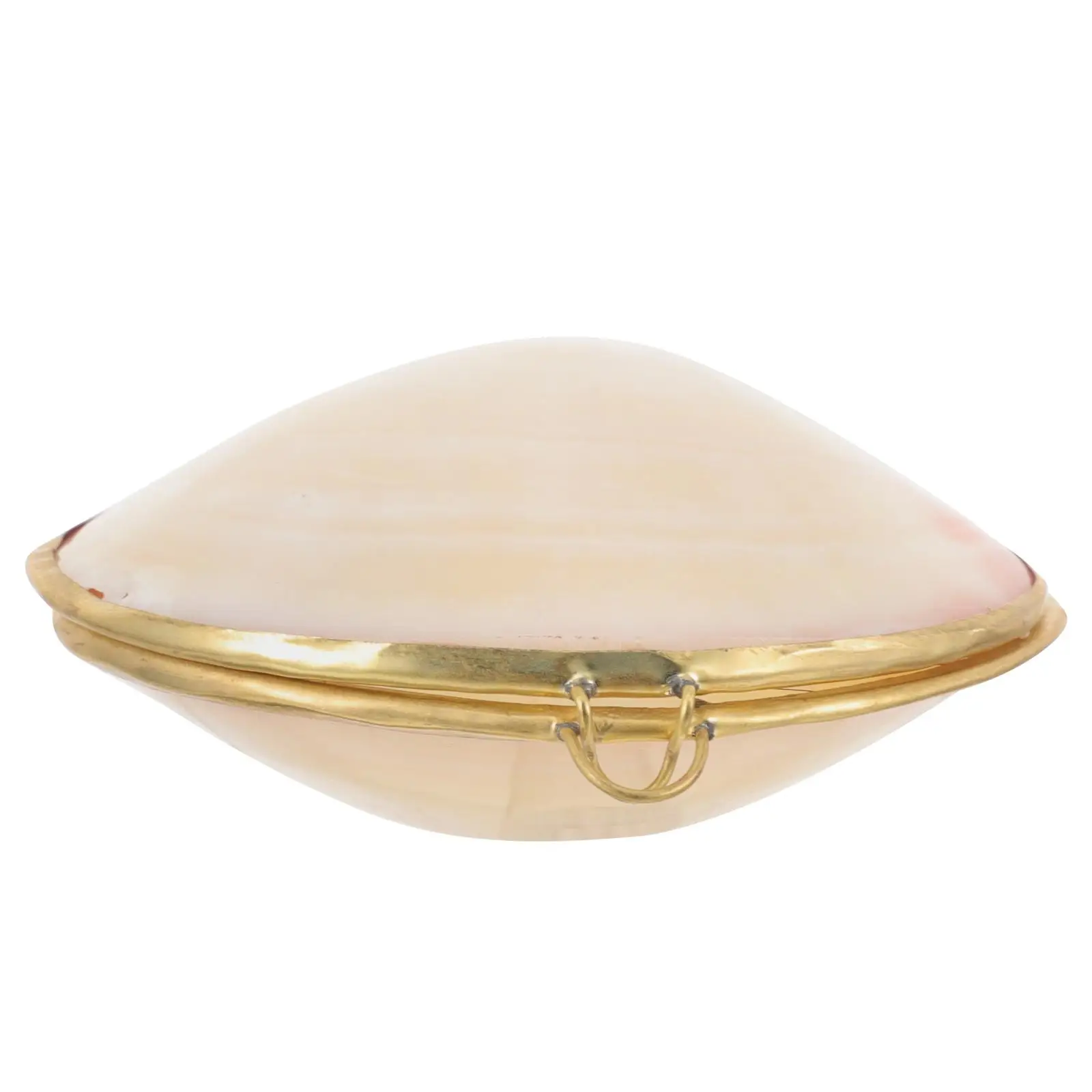 Pearl Clam Storage Box Boxes Jewelrybox Case Shell Natural Freshwater Shells Miss Boxjewelry
Pearl Clam Storage Box Boxes Jewelrybox Case Shell Natural Freshwater Shells Miss Boxjewelry