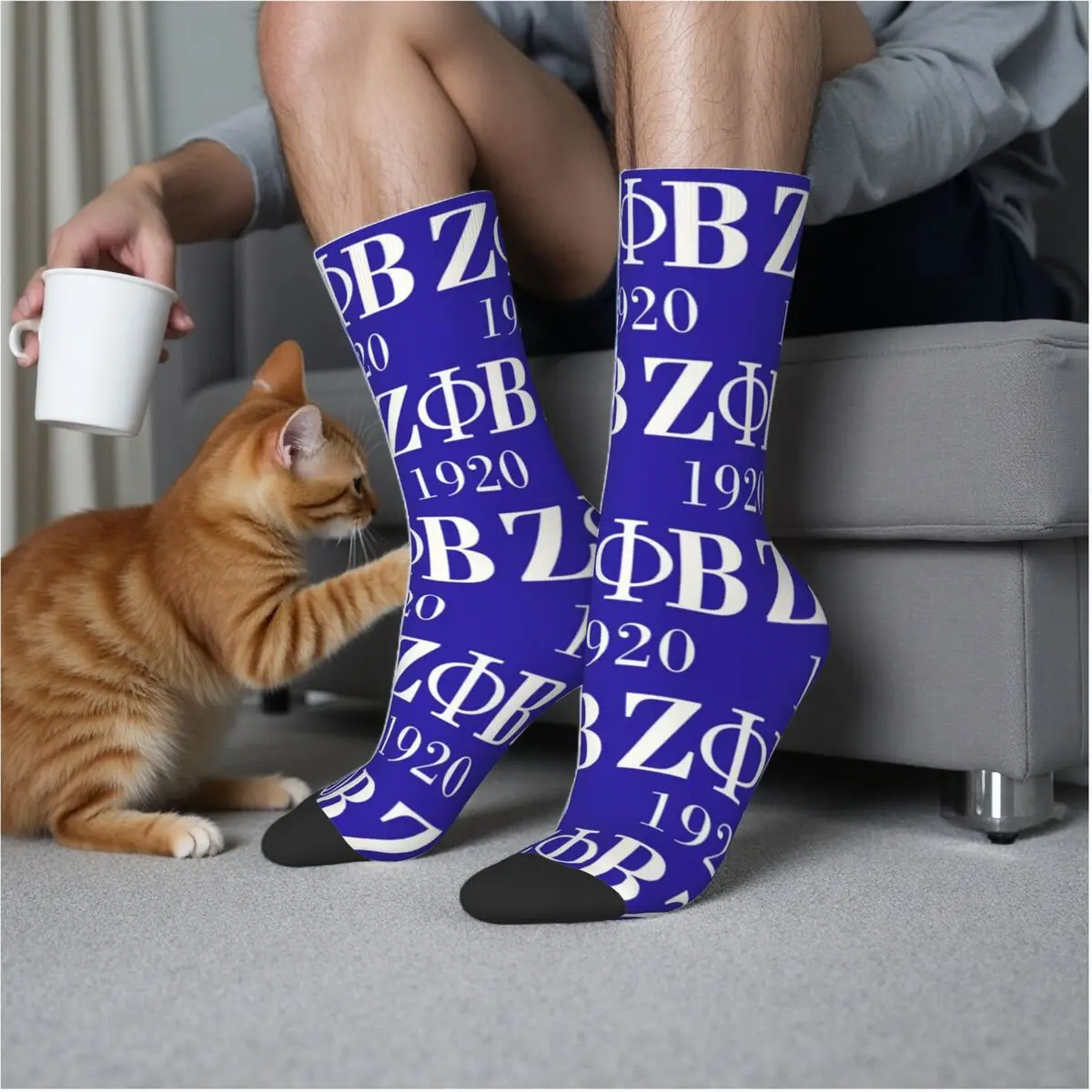 Zeta Phi Beta Sorority Logo Греческие носки с буквенным принтом 1920, супер мягкие чулки в стиле Харадзюку, всесезонные длинные носки для мужчин и женщин, подарки
Zeta Phi Beta Sorority Logo Греческие носки с буквенным принтом 1920, супер мягкие чулки в стиле Харадзюку, всесезонные длинные носки для мужчин и женщин, подарки
