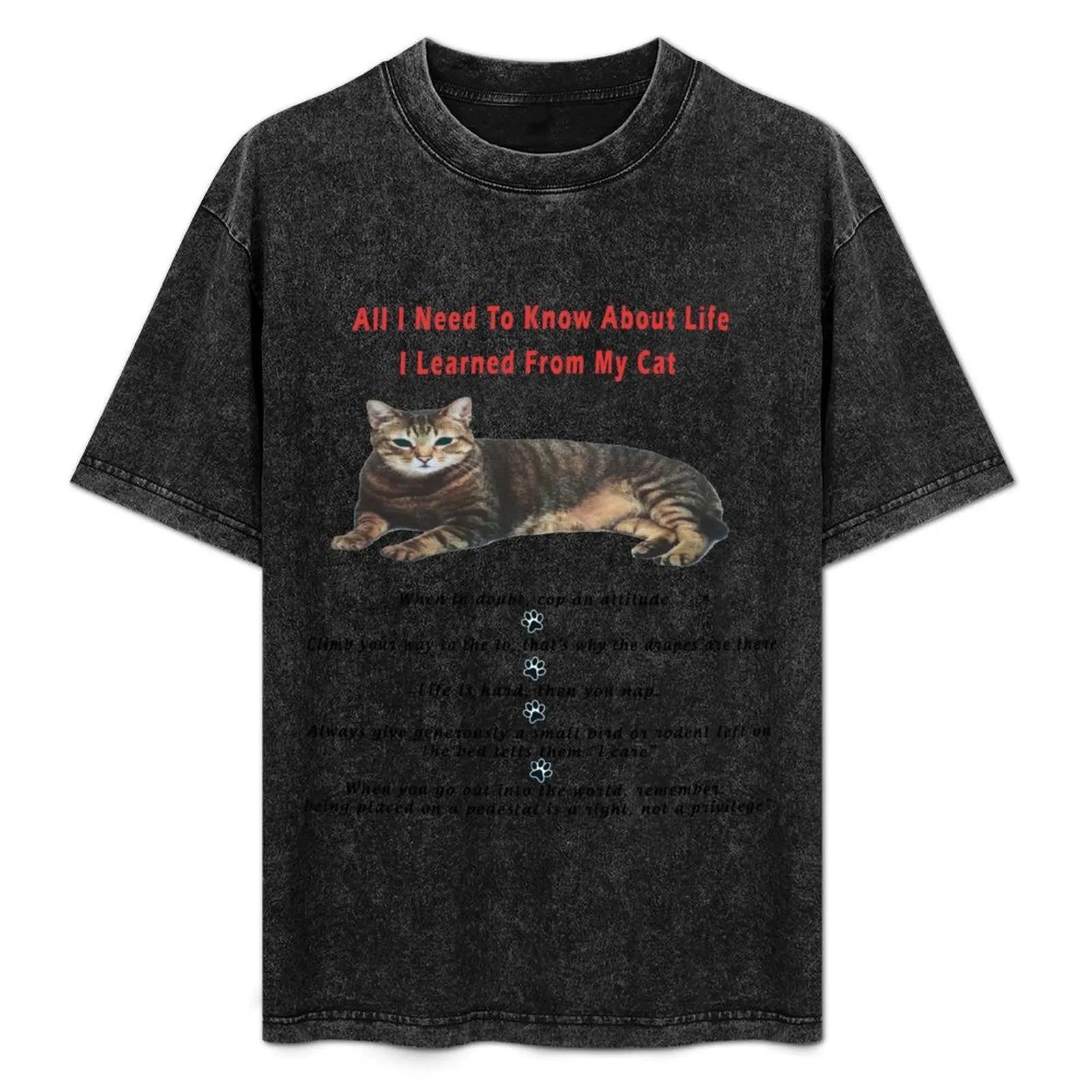 all i need to know about life i learned from my cat T-Shirt Breathable Mesh Panel T-Shirt
all i need to know about life i learned from my cat T-Shirt Breathable Mesh Panel T-Shirt