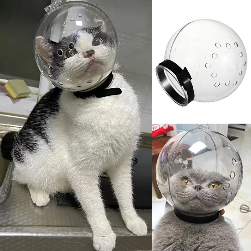 Дышащий космический мяч, чехол для ухода за кошками, маска-головоломка для кошек, котят, домашних животных, маска для стрижки ногтей, защитная шапка для купания, защита от укусов, поставки
Дышащий космический мяч, чехол для ухода за кошками, маска-головоломка для кошек, котят, домашних животных, маска для стрижки ногтей, защитная шапка для купания, защита от укусов, поставки