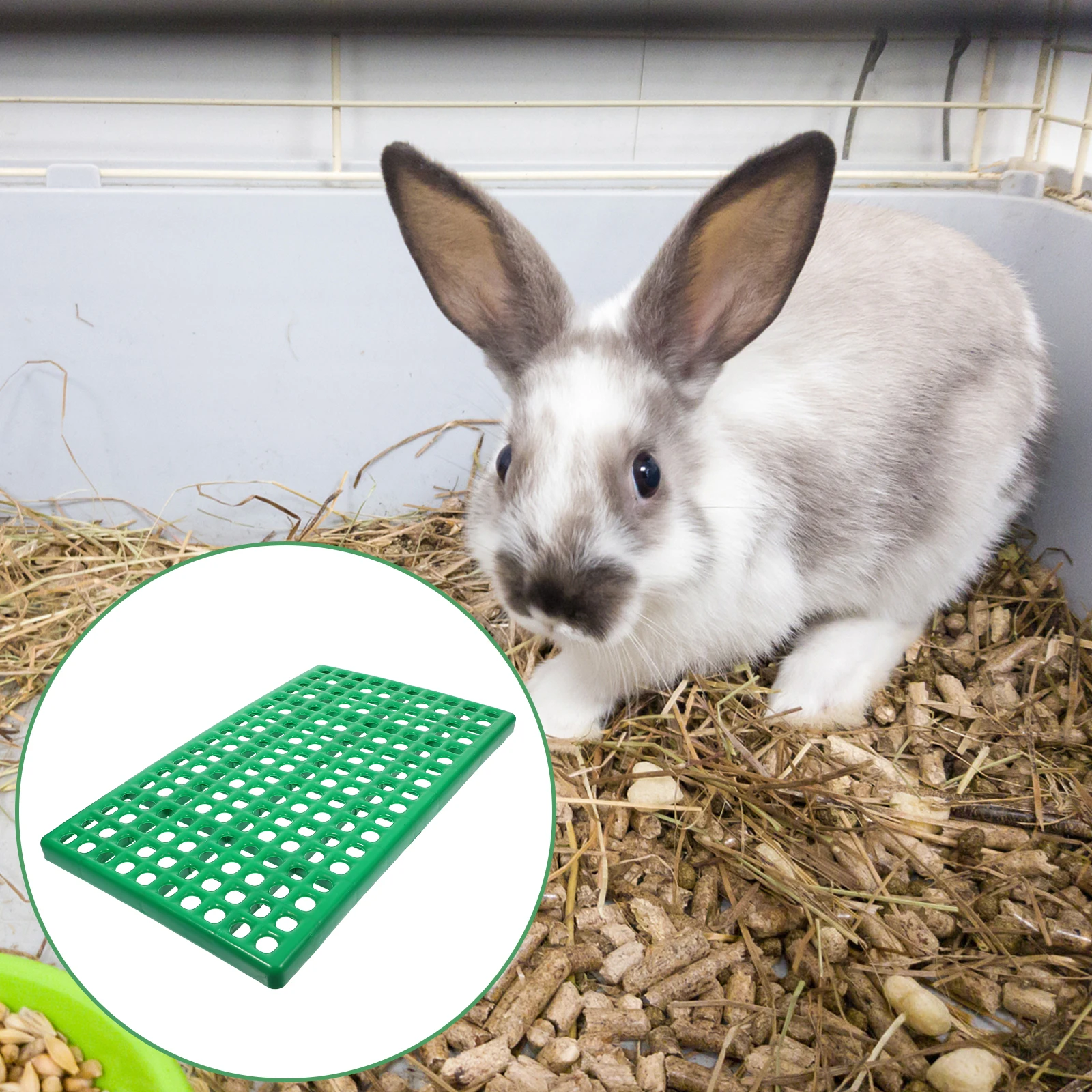 Rabbit Cage Special Floor Mat Plastic Leak-Resistant Bottom Net Easy to Clean Pet Cage Mat Pet Urine Drain Pad
Rabbit Cage Special Floor Mat Plastic Leak-Resistant Bottom Net Easy to Clean Pet Cage Mat Pet Urine Drain Pad