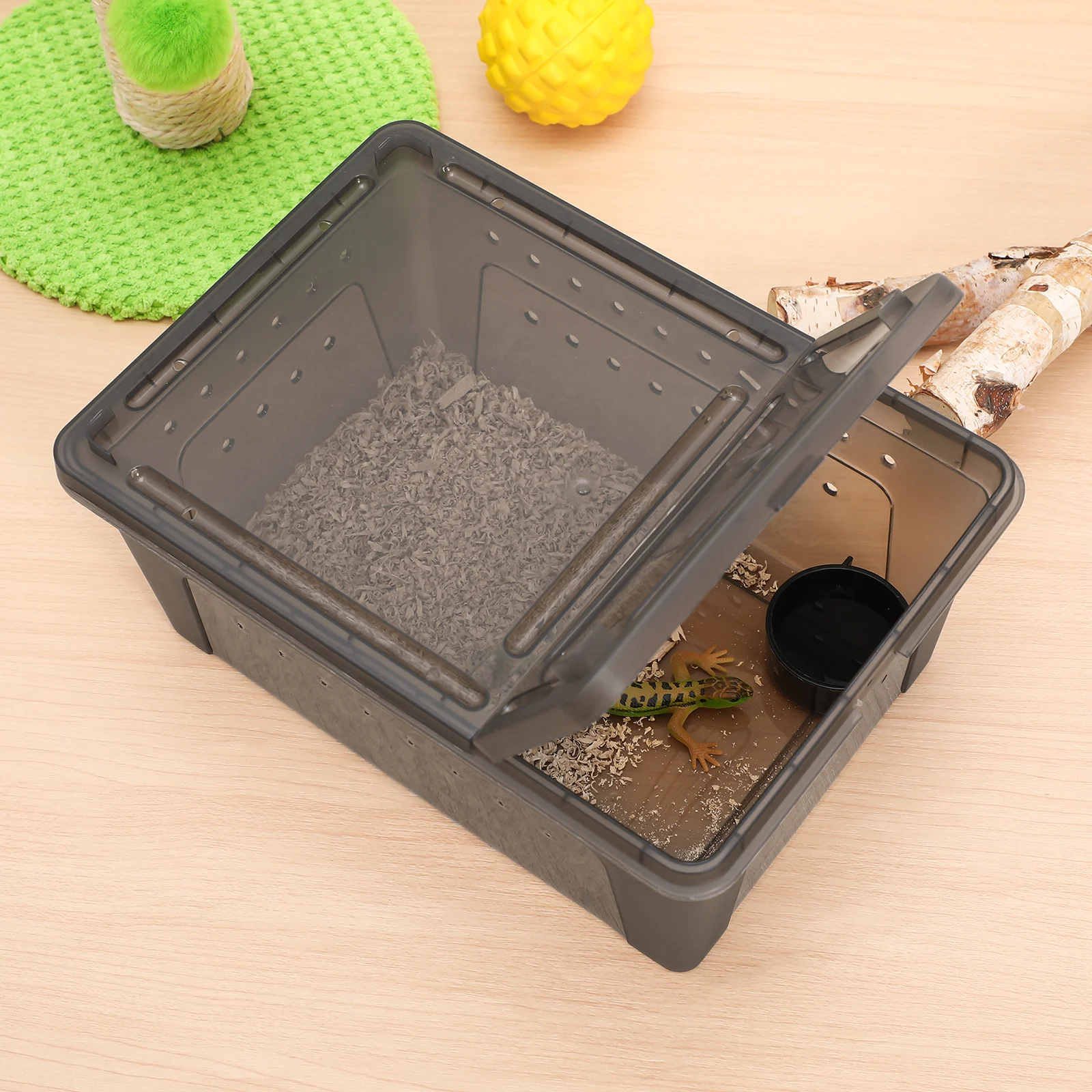 Plastic Reptile Terrarium Pet Breeding Box Ventilation Safety Switch Small Crawling Insects Durable Aquarium Fish Tank reptile
Plastic Reptile Terrarium Pet Breeding Box Ventilation Safety Switch Small Crawling Insects Durable Aquarium Fish Tank reptile