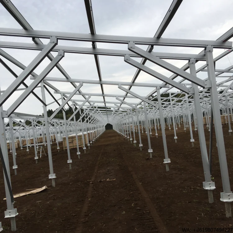 Solar Farmland Mounting System Installed by Ground Screw
Solar Farmland Mounting System Installed by Ground Screw