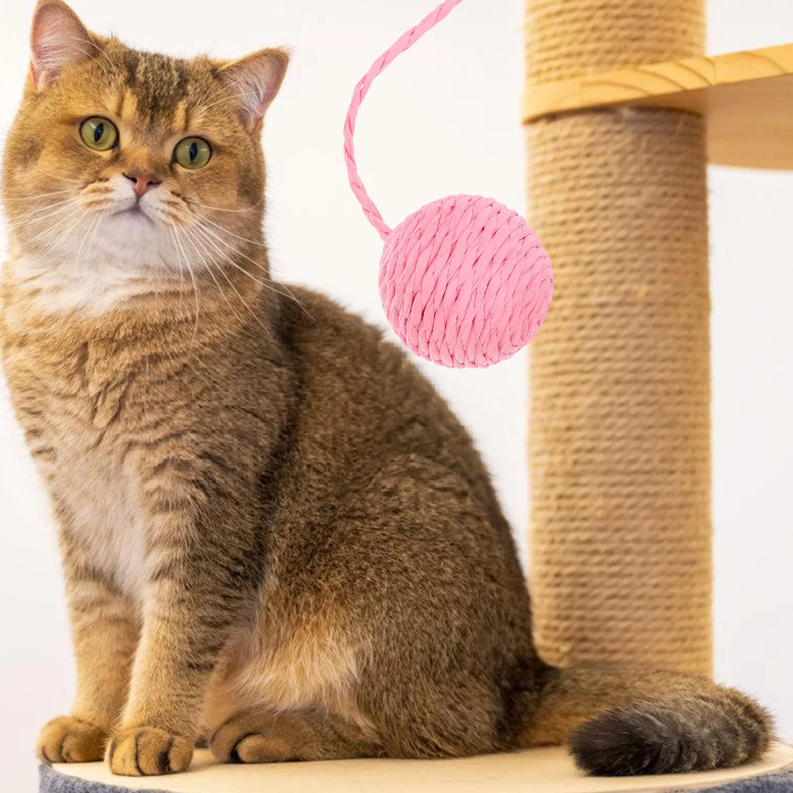Cat Scratch Column Accessories Multicolor Toy Balls Pet Rattan Paper Teaser Durable Hanging Cat Toys Kitten Play Ball
Cat Scratch Column Accessories Multicolor Toy Balls Pet Rattan Paper Teaser Durable Hanging Cat Toys Kitten Play Ball