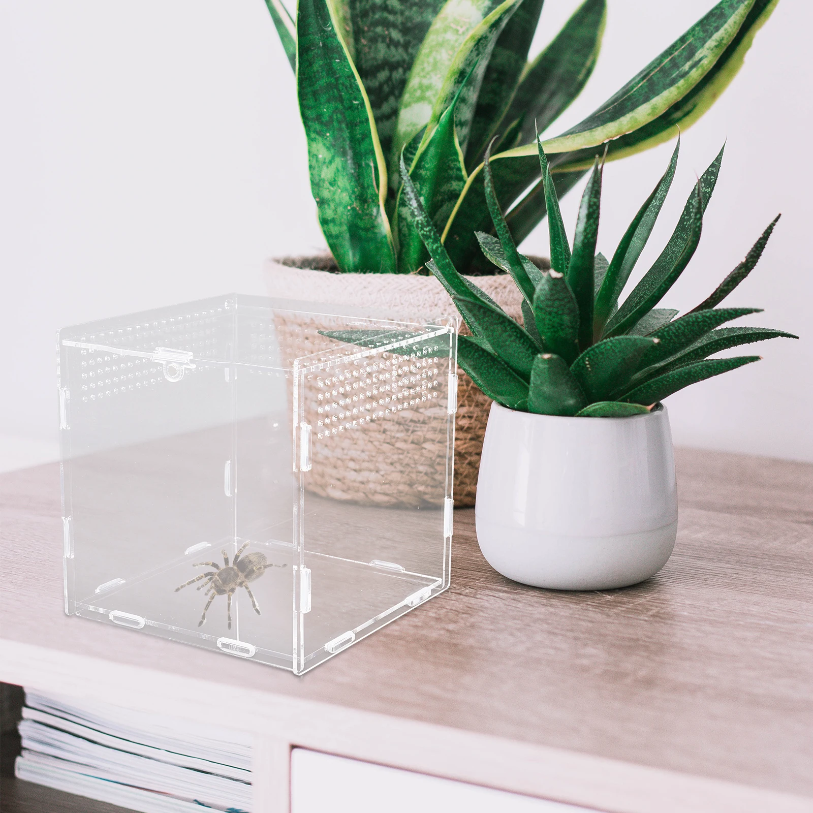 Reptile Breeding Container Transparent Acrylic Case Terrarium Box Spider Snake Scorpion Crab Pet Feeding Storage Nest
Reptile Breeding Container Transparent Acrylic Case Terrarium Box Spider Snake Scorpion Crab Pet Feeding Storage Nest