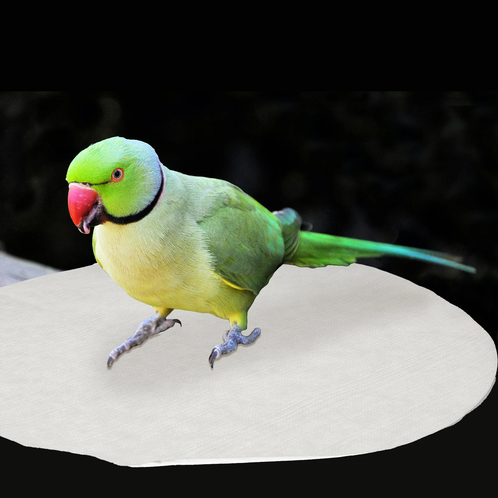 100Pcs Pet Cage Paper Mat Natural Safe Disposable Liner for Bird Cage Strong Water Absorption Clean Environment Supply
100Pcs Pet Cage Paper Mat Natural Safe Disposable Liner for Bird Cage Strong Water Absorption Clean Environment Supply