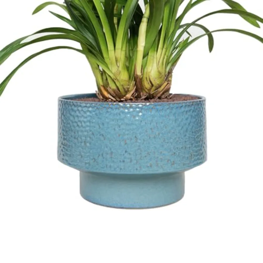 Ceramic Planters 11 Inch Honeycomb Ceramic Pots for Plants Indoor Outdoor Round Plant Pot with Drainage Hole Large Planter Flow
Ceramic Planters 11 Inch Honeycomb Ceramic Pots for Plants Indoor Outdoor Round Plant Pot with Drainage Hole Large Planter Flow