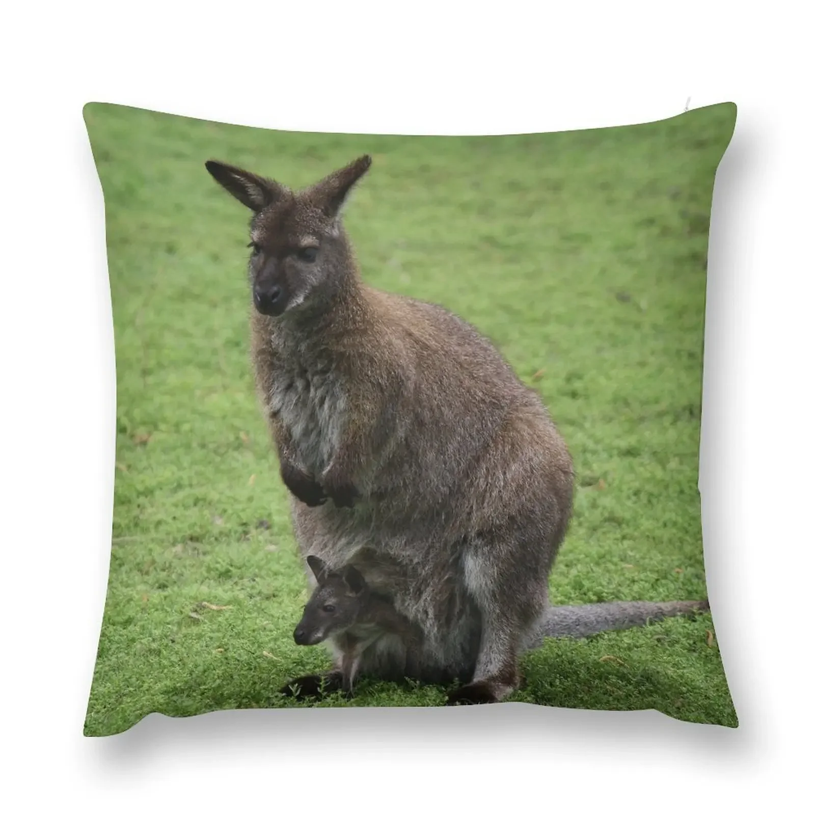 Joey Throw Pillow Luxury Cushion Cover Luxury Living Room Decorative Cushions Christmas Covers Decorative Sofa Cushions pillow
Joey Throw Pillow Luxury Cushion Cover Luxury Living Room Decorative Cushions Christmas Covers Decorative Sofa Cushions pillow