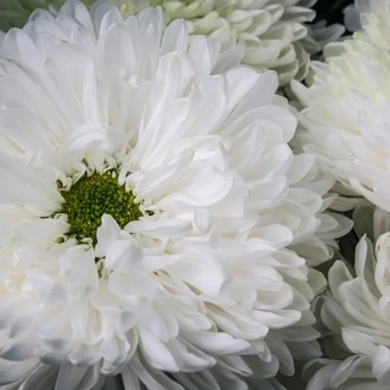 Шины для радиоуправляемых грузовиков с пластиковыми колесными дисками 12 14 17 мм шестигранные для радиоуправляемого автомобиля в масштабе 1/10 ARRMA 727 Losi
Шины для радиоуправляемых грузовиков с пластиковыми колесными дисками 12 14 17 мм шестигранные для радиоуправляемого автомобиля в масштабе 1/10 ARRMA 727 Losi