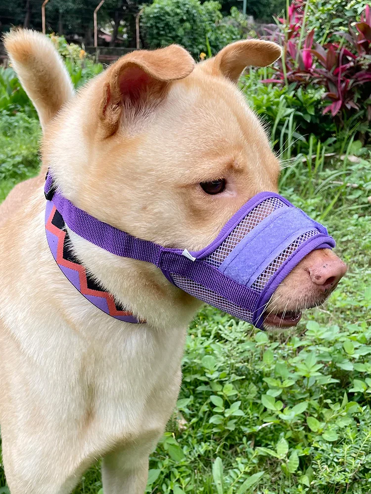 Dog muzzle Prevents biting barking and accidental eating prevents slipping off fits small medium large dogs adjustable
Dog muzzle Prevents biting barking and accidental eating prevents slipping off fits small medium large dogs adjustable
