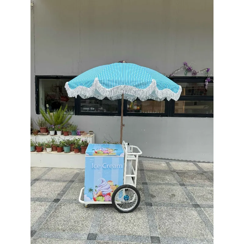 Mobile Mini Street Ice Cream Food Stall Truck Thai Ice Cream Truck Ice Cream Truck Equipment
Mobile Mini Street Ice Cream Food Stall Truck Thai Ice Cream Truck Ice Cream Truck Equipment