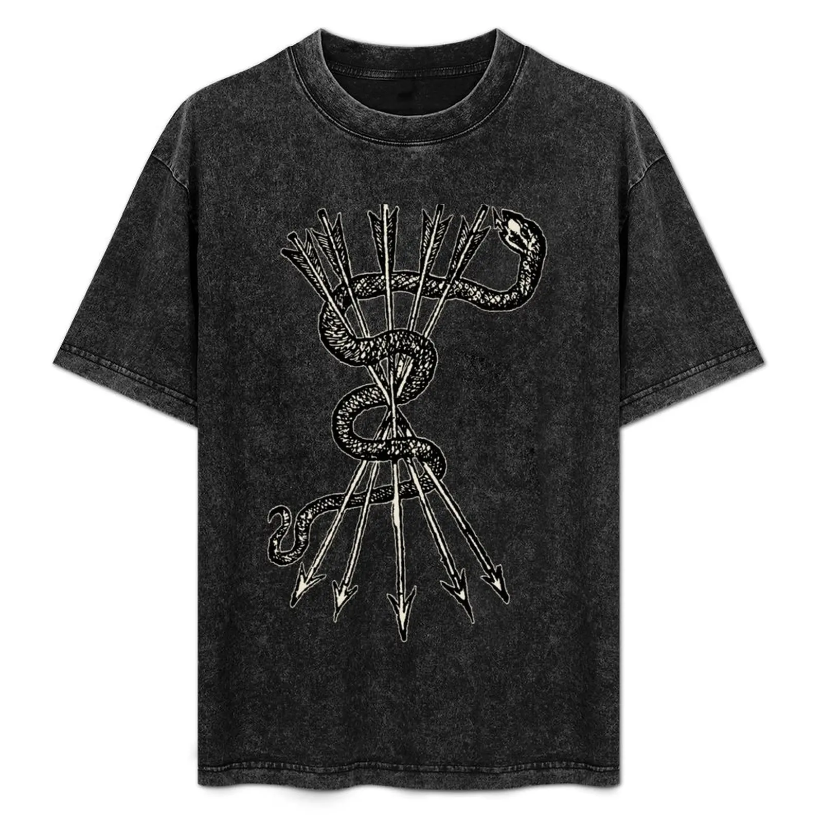 Snake & Arrows T-Shirt Sports Casual Breathable Tee Shirt
Snake & Arrows T-Shirt Sports Casual Breathable Tee Shirt
