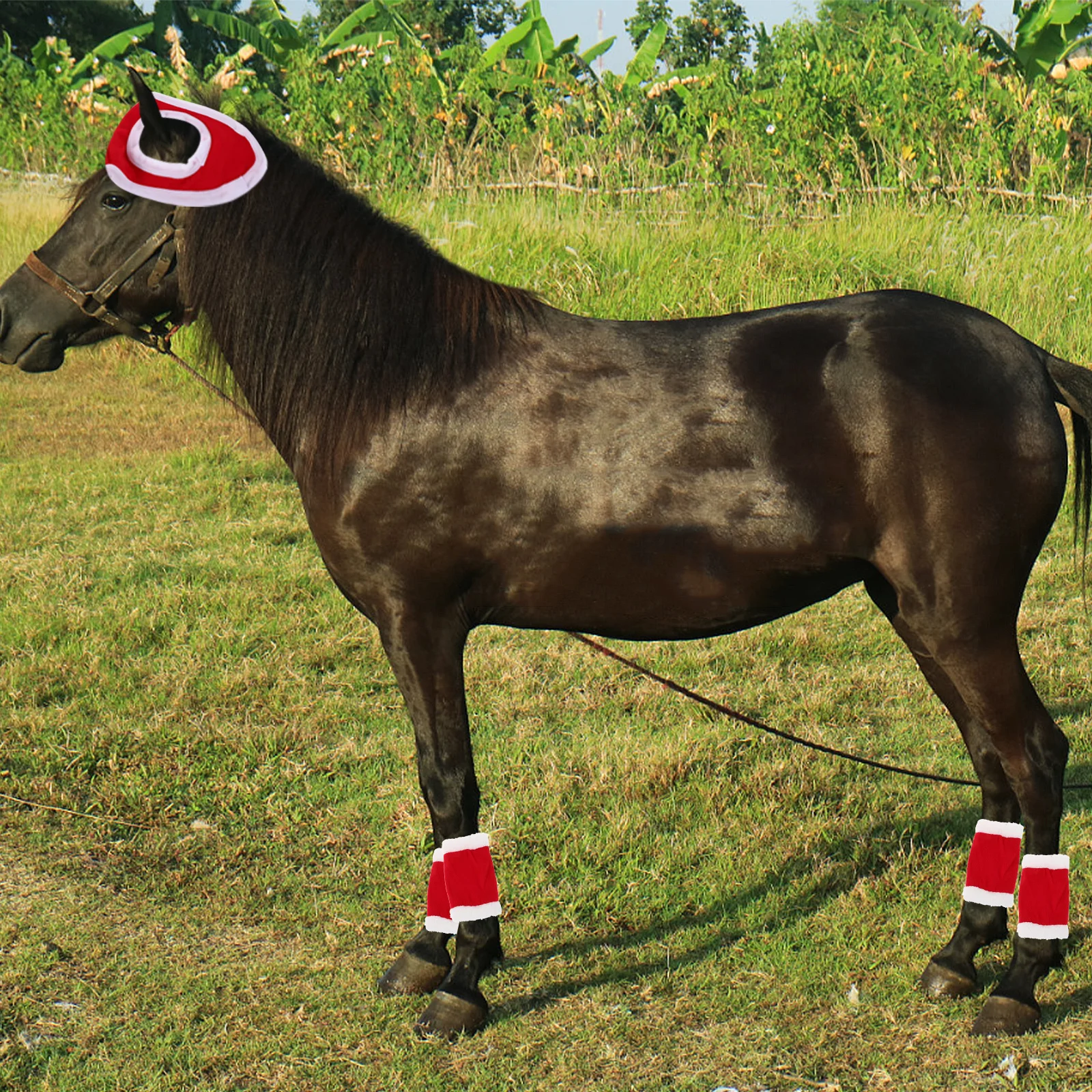 1Set Horse Decoration Set Stylish Christmas Hat with Support Leg Wraps Creative Costume for Festive Occasion Theme Party Fun
1Set Horse Decoration Set Stylish Christmas Hat with Support Leg Wraps Creative Costume for Festive Occasion Theme Party Fun