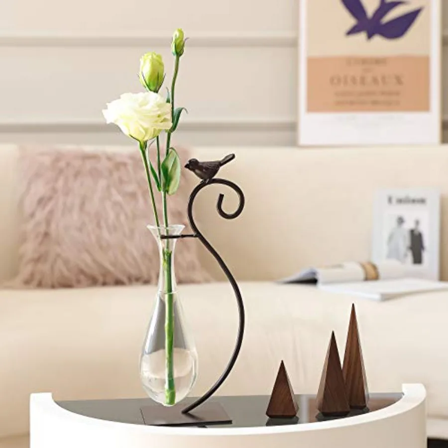 Desktop Glass Planter Hydroponics Vase, Planter with Holder for Home Decoration, Modern Creative Bird Plant Terrarium Stand, Sc
Desktop Glass Planter Hydroponics Vase, Planter with Holder for Home Decoration, Modern Creative Bird Plant Terrarium Stand, Sc