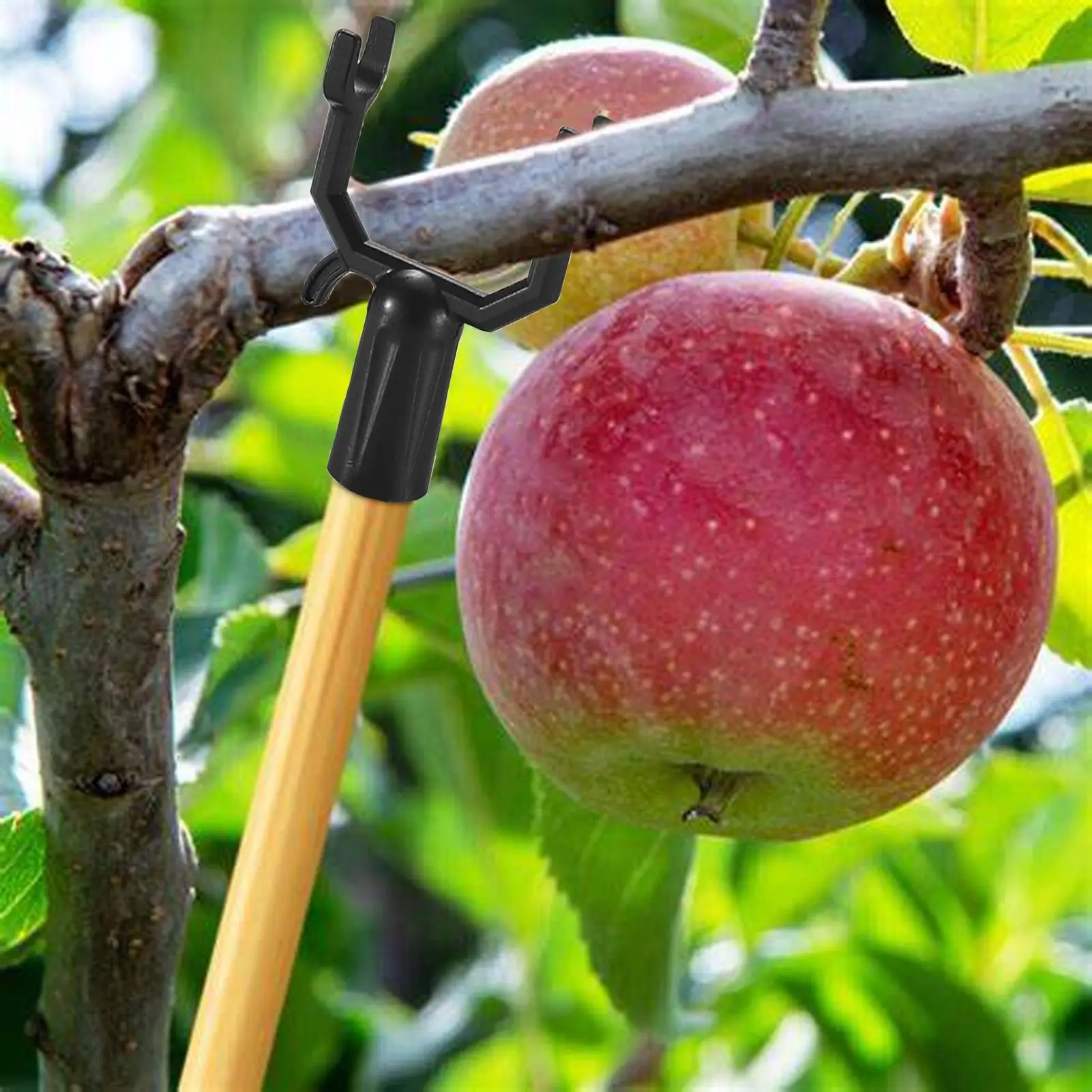 Опора для ветвей фруктовых деревьев, 5 шт./компл., многоразовый кронштейн для поддержки ветвей растений, садовый двор, устройство для поддержки деревьев, инструмент
Опора для ветвей фруктовых деревьев, 5 шт./компл., многоразовый кронштейн для поддержки ветвей растений, садовый двор, устройство для поддержки деревьев, инструмент