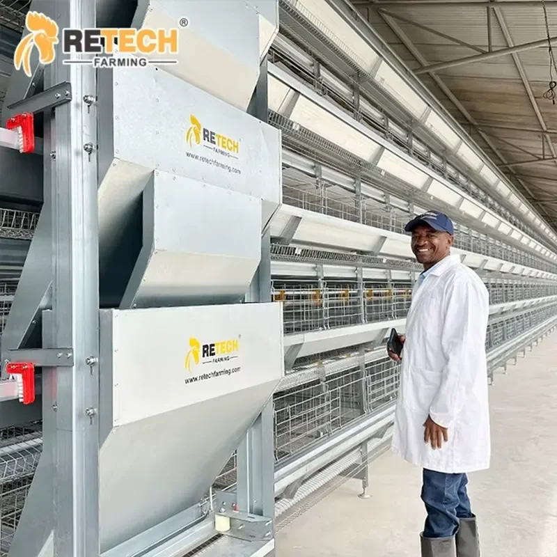 New Design 240/300 Heads Hot Dipped Galvanized Automatic H Type 4 Tiers Chicken Layer Poultry Farming Battery Cages for Farm
New Design 240/300 Heads Hot Dipped Galvanized Automatic H Type 4 Tiers Chicken Layer Poultry Farming Battery Cages for Farm