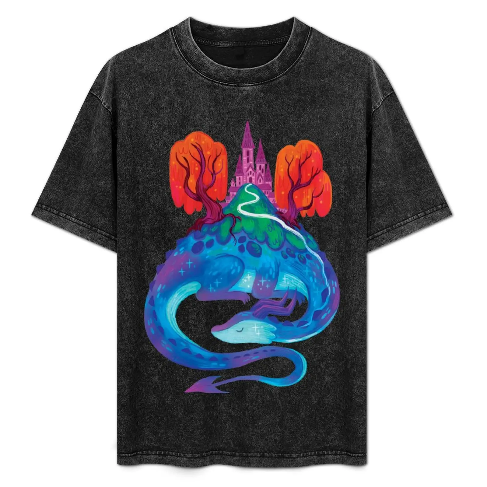 Sleepy Magical Dragon Mountain T-Shirt Performance Workout Short Sleeve Tee
Sleepy Magical Dragon Mountain T-Shirt Performance Workout Short Sleeve Tee