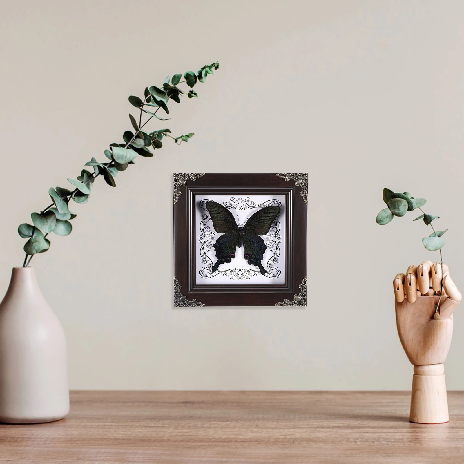 Real Butterfly Specimen Frame Vintage Decor Home Decorations Framed Black Collection Photo Frame Desk Ornaments
Real Butterfly Specimen Frame Vintage Decor Home Decorations Framed Black Collection Photo Frame Desk Ornaments