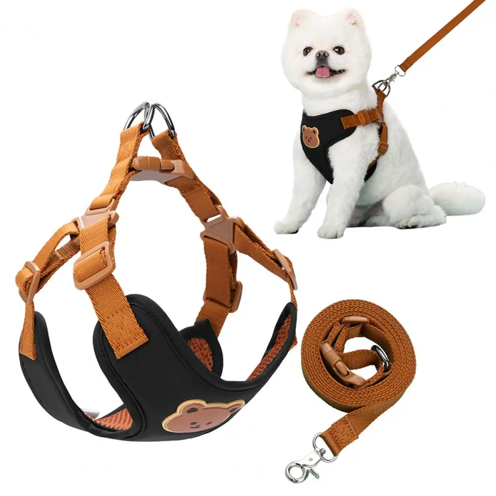 Padded Handle Dog Harness And Leash Set No Pull Adjustable Dog Vest Harness with Leash for Small Medium Large Dogs
Padded Handle Dog Harness And Leash Set No Pull Adjustable Dog Vest Harness with Leash for Small Medium Large Dogs