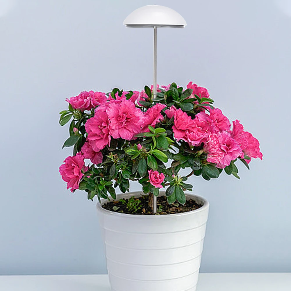LED Grow Light with Auto On/Off Timer Plant Growing Lamp Height Adjustable Grow Lamp for Indoor Hydroponic Plants Veg Flower
LED Grow Light with Auto On/Off Timer Plant Growing Lamp Height Adjustable Grow Lamp for Indoor Hydroponic Plants Veg Flower