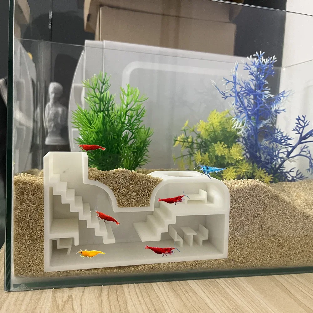 Aquarium Cave Aquarium Shrimp Rental Studio. Large Shrimp Studio For Rent. All-Inclusive Facility. Luxury & Cozy Shrimp Studio
Aquarium Cave Aquarium Shrimp Rental Studio. Large Shrimp Studio For Rent. All-Inclusive Facility. Luxury & Cozy Shrimp Studio