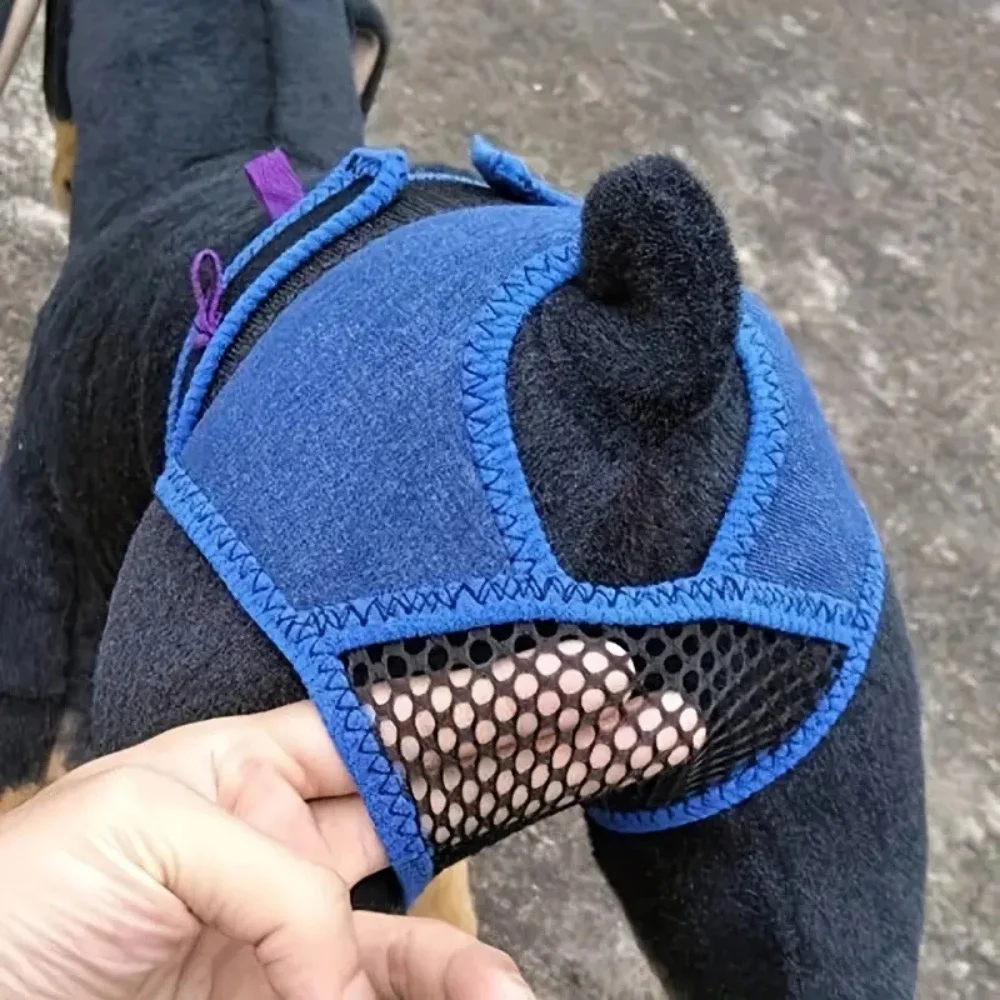 Pet Female Dog Sanitary Pants Suit Leak Proof Breathable Comfortable Adjustable Pet Health Hygiene Protection Female Dog Diaper
Pet Female Dog Sanitary Pants Suit Leak Proof Breathable Comfortable Adjustable Pet Health Hygiene Protection Female Dog Diaper