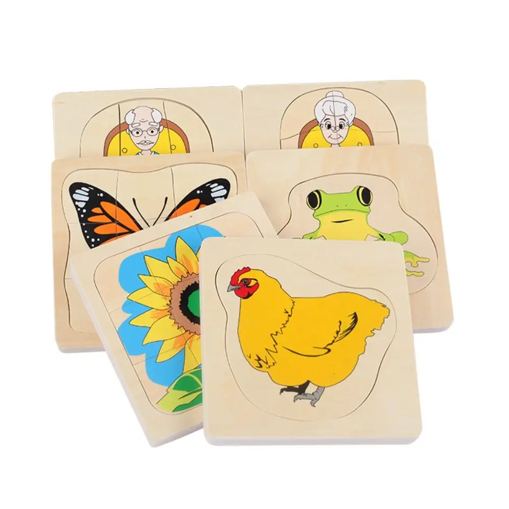 Matching Toys Life Cycle 3D Puzzle Toy Cognitive Montessori Multi-Layer Jigsaw Interactive Animal Plant Life
Matching Toys Life Cycle 3D Puzzle Toy Cognitive Montessori Multi-Layer Jigsaw Interactive Animal Plant Life