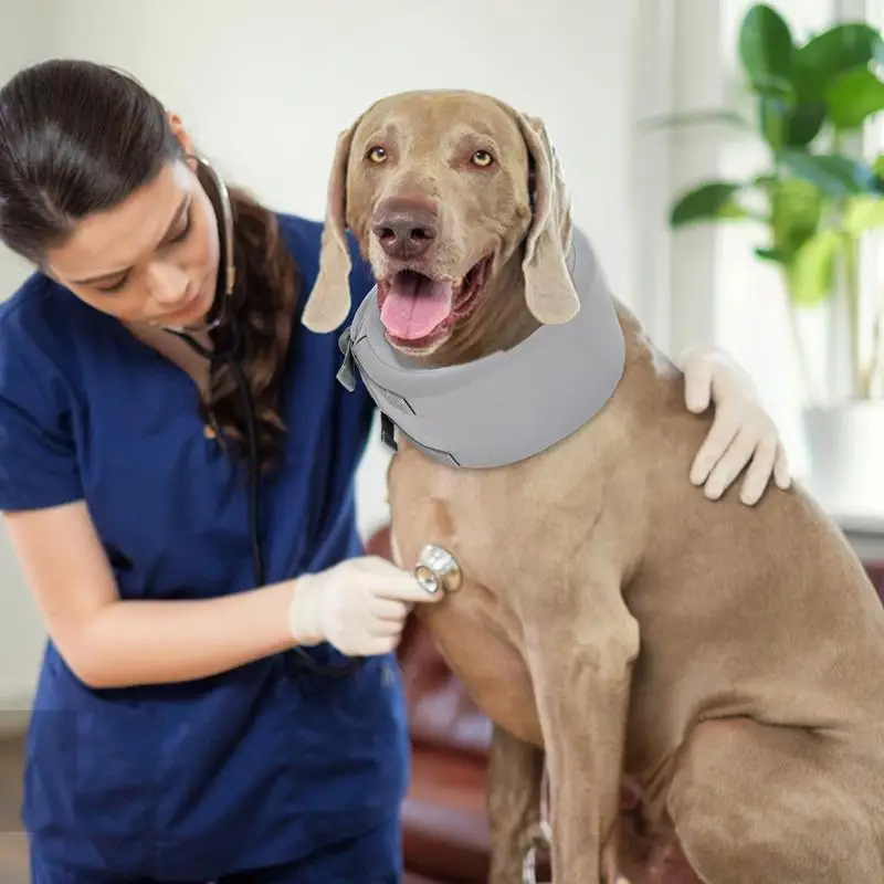 Dog Recovery Collar Adjustable Lightweight Neck Support Prevent Pets From Touching Stitches Wound Care Anti-Lick Shield
Dog Recovery Collar Adjustable Lightweight Neck Support Prevent Pets From Touching Stitches Wound Care Anti-Lick Shield