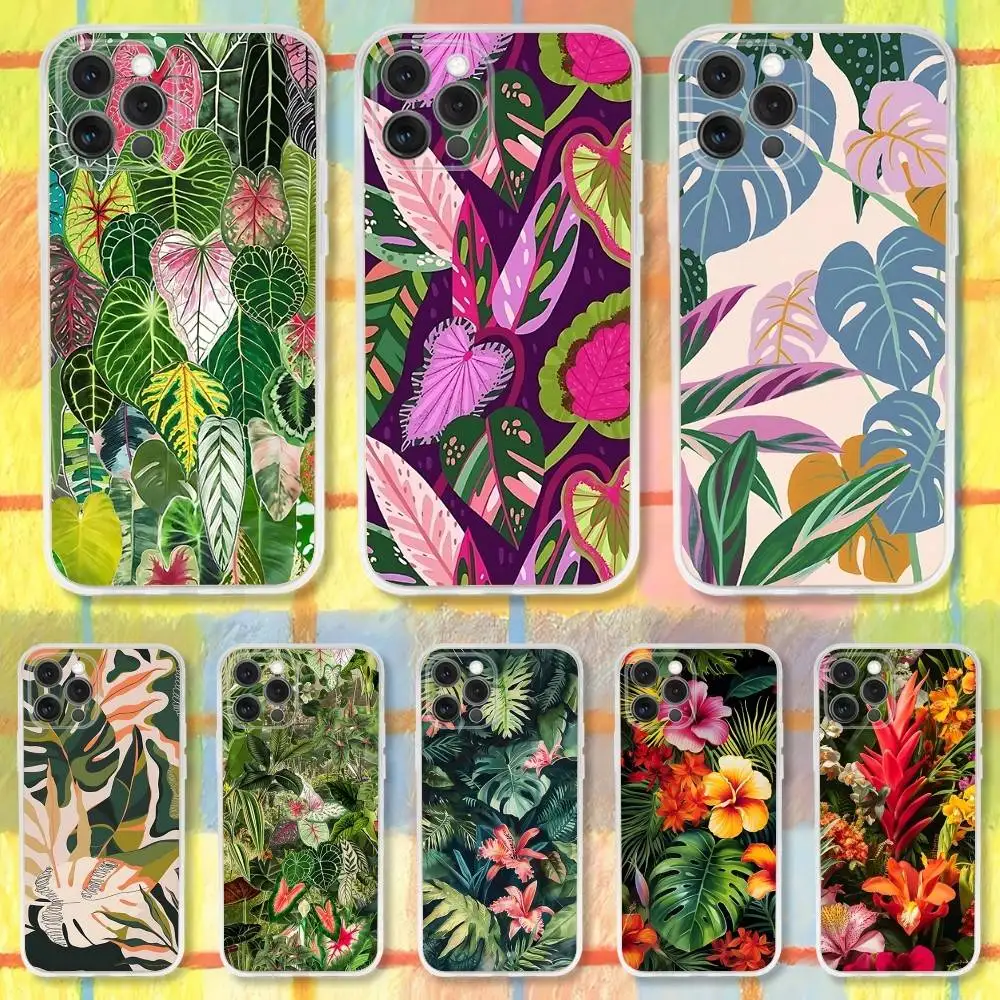 Fashion Tropical Jungle Phone Case For iPhone 16,15,14,13,12,11 Pro,Max,Plus,X,XS,XR,SE,Mini Transparent Silicone Soft
Fashion Tropical Jungle Phone Case For iPhone 16,15,14,13,12,11 Pro,Max,Plus,X,XS,XR,SE,Mini Transparent Silicone Soft