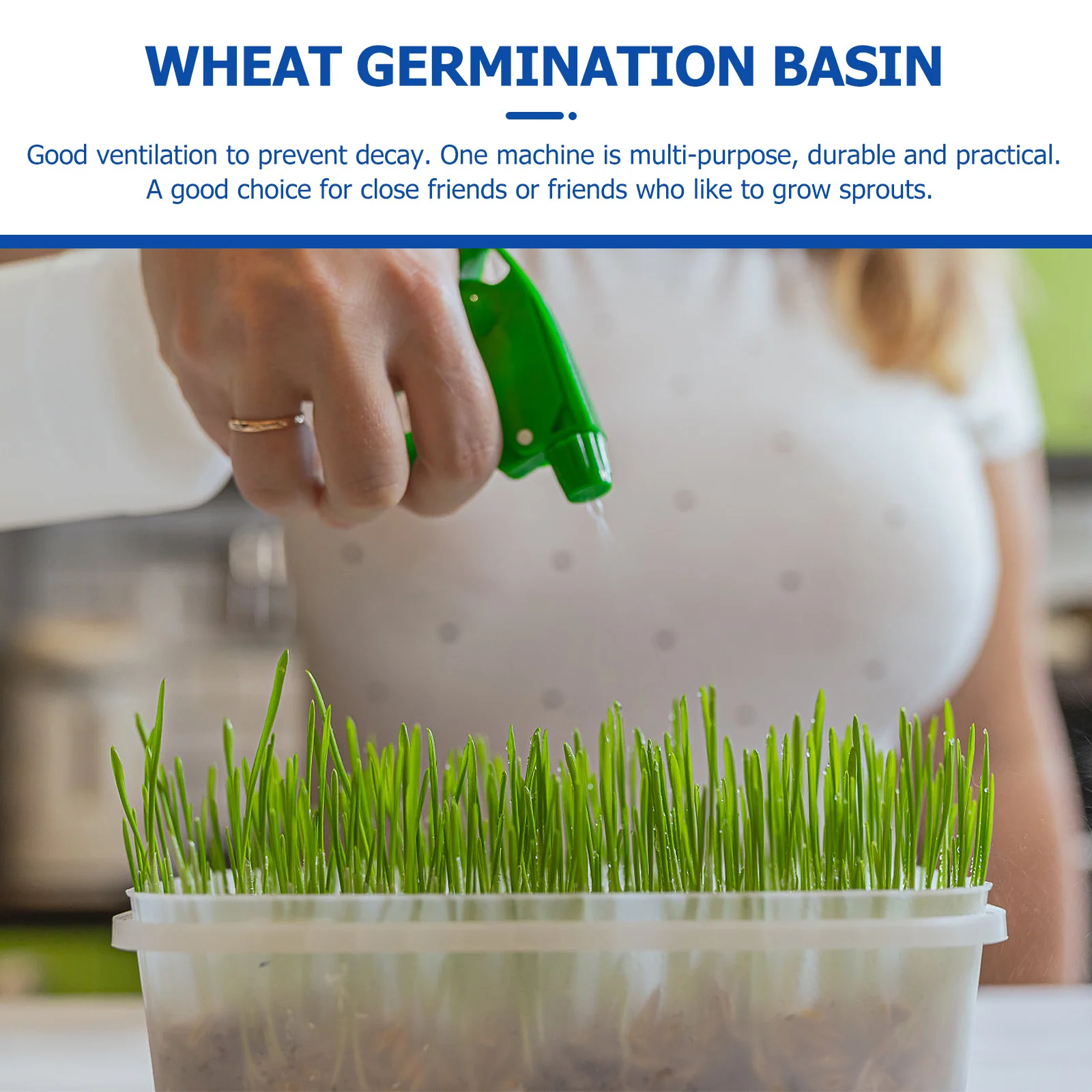 Germination Basin High-Grade Plastic Tray Hydroponic Nursery Pot Soil-Free Sprout Growing Kit Bean Sprouter
Germination Basin High-Grade Plastic Tray Hydroponic Nursery Pot Soil-Free Sprout Growing Kit Bean Sprouter