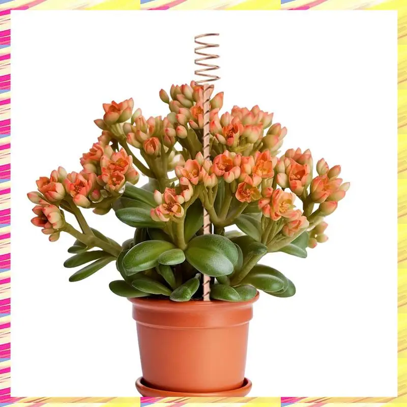 ABJJ Copper Wire Coil For Electric Plant Staking And Horticulture Nursery Planting - 348.7G Durable Easy Install Easy To Use
ABJJ Copper Wire Coil For Electric Plant Staking And Horticulture Nursery Planting - 348.7G Durable Easy Install Easy To Use