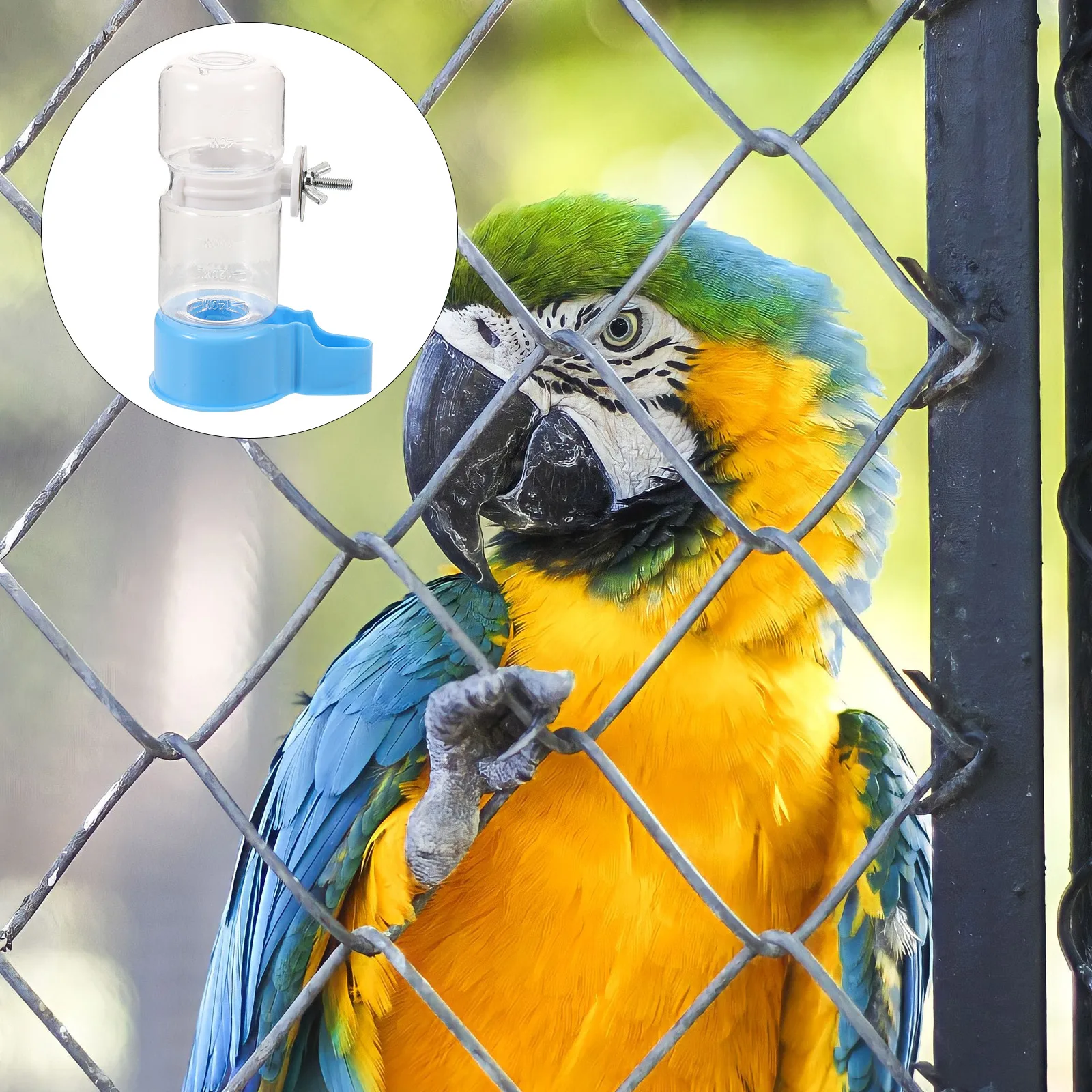 Plastic Parrot Water Feeder Blue Large Capacity Bird Cage Accessories Drinking Fountain for Pigeons Thrushes Parakeets Pet Water
Plastic Parrot Water Feeder Blue Large Capacity Bird Cage Accessories Drinking Fountain for Pigeons Thrushes Parakeets Pet Water