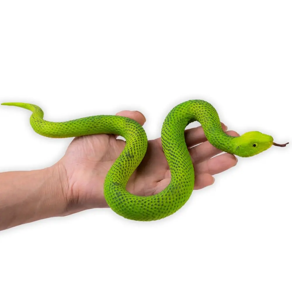 Novelty Reptile Animal Snake Action Figures Python Cobra Educational Rattlesnake Model Lifelike Elastic Simulation Snake
Novelty Reptile Animal Snake Action Figures Python Cobra Educational Rattlesnake Model Lifelike Elastic Simulation Snake