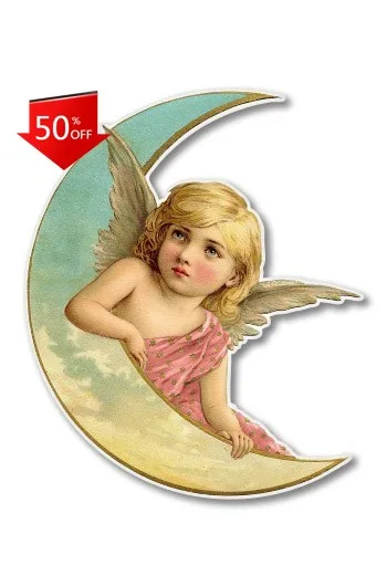 Card Angel Phone Trendy Boat Motor Home Camper Van Window Accessory Unique Cute Aesthetic Funny Cool
Card Angel Phone Trendy Boat Motor Home Camper Van Window Accessory Unique Cute Aesthetic Funny Cool