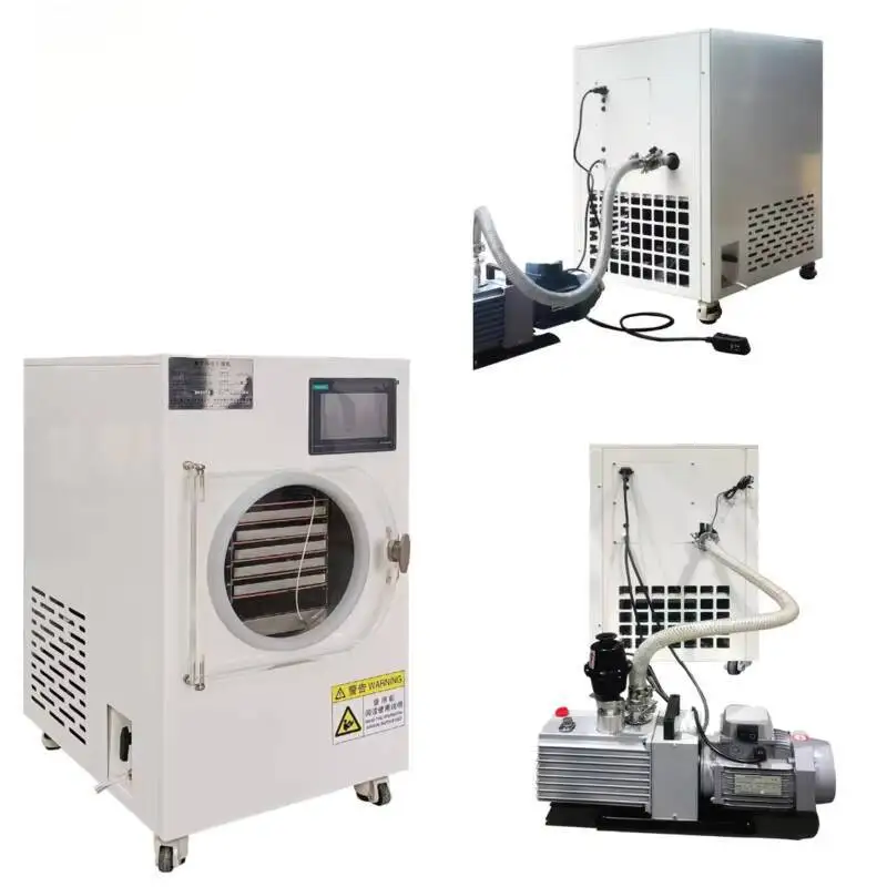 Mini Freeze Dryer for Home Lab Fruit Freeze Dryer Freeze Dryer Laboratory Freeze Dryer Machine Continuous Freeze Dryer
Mini Freeze Dryer for Home Lab Fruit Freeze Dryer Freeze Dryer Laboratory Freeze Dryer Machine Continuous Freeze Dryer