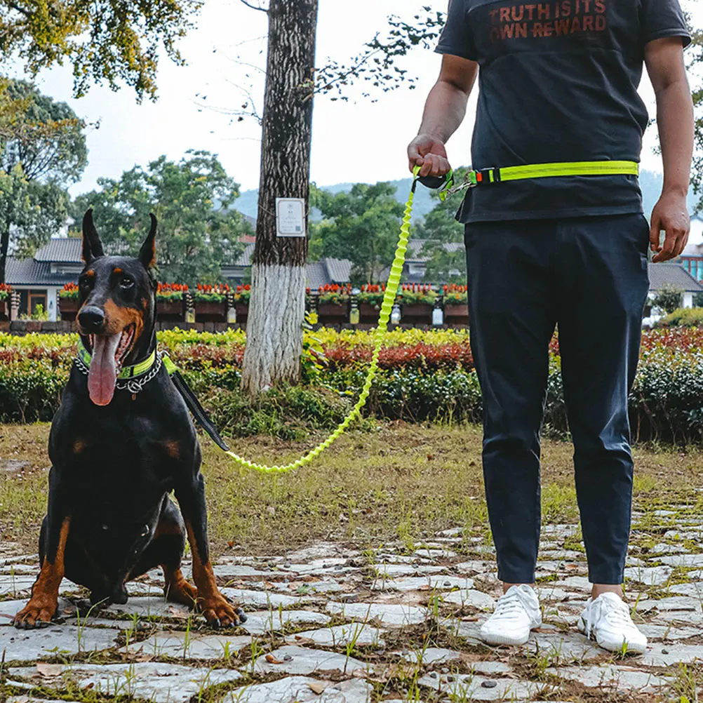 Retractable Dog Leash Pet Traction Rope Elastic Adjustable Collars Harnesses for Medium Small Dogs Strong Design Easy Convenient
Retractable Dog Leash Pet Traction Rope Elastic Adjustable Collars Harnesses for Medium Small Dogs Strong Design Easy Convenient