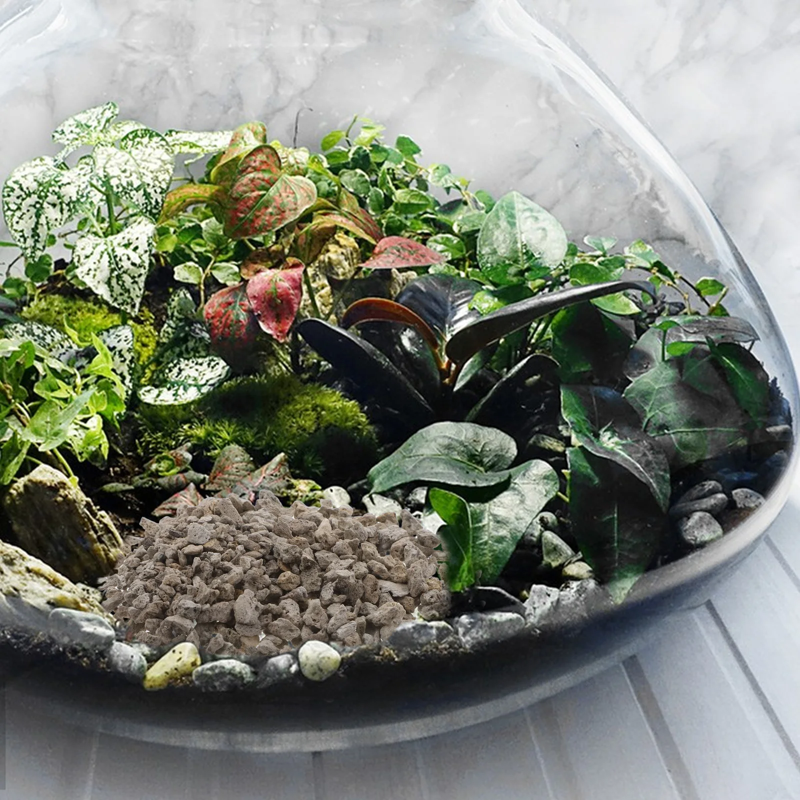 20x12cm Basing Stone Gravel for Fish Tank Micro L scape Stones Diorama Rock Mini Garden Layout Material Kit S Table Realistic
20x12cm Basing Stone Gravel for Fish Tank Micro L scape Stones Diorama Rock Mini Garden Layout Material Kit S Table Realistic