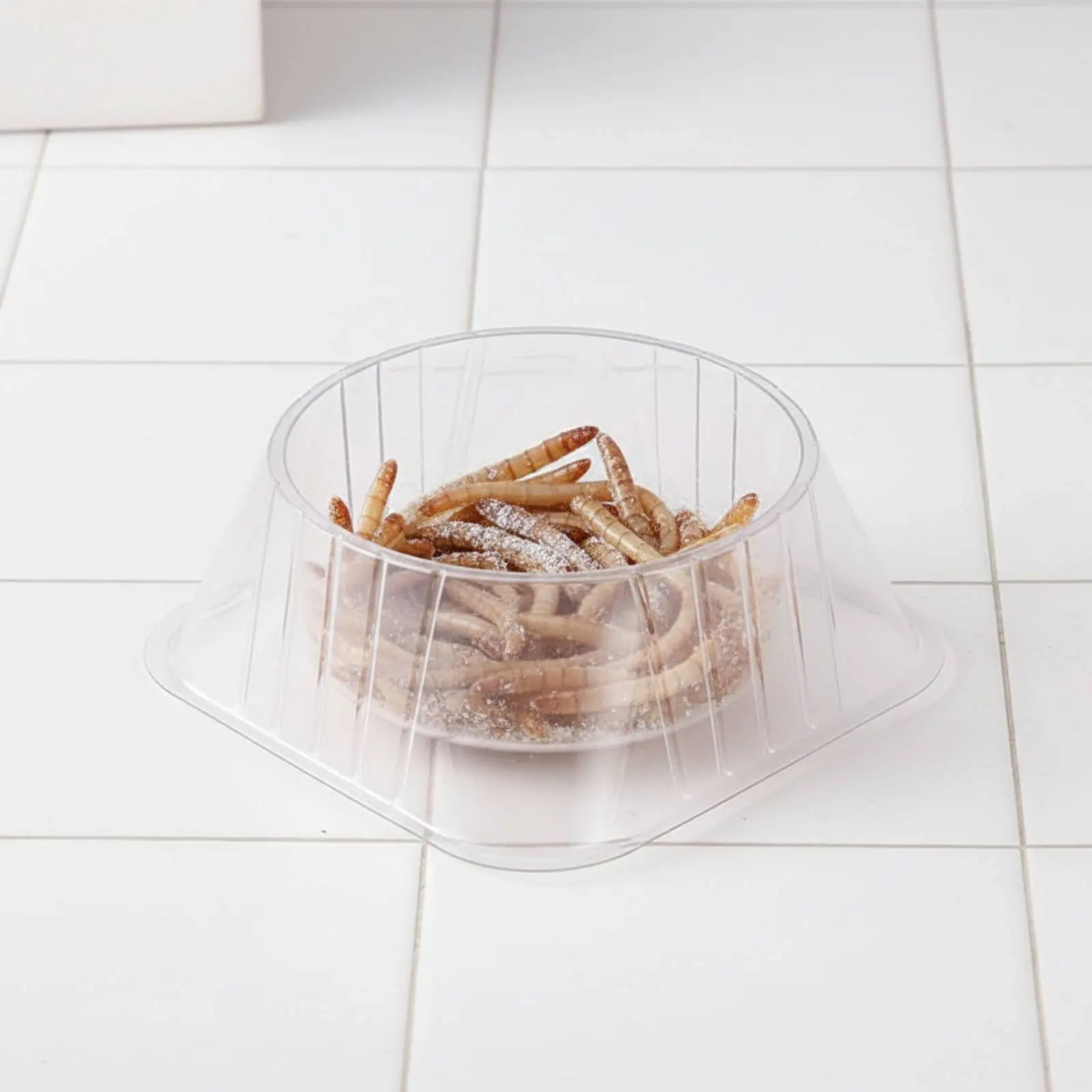 Disposable Cold-Blooded Animal Water Bowl Stable Base Anti-Tip Pet Dish Gecko Feeding Cups Clear Plastic Snake Bowl Large
Disposable Cold-Blooded Animal Water Bowl Stable Base Anti-Tip Pet Dish Gecko Feeding Cups Clear Plastic Snake Bowl Large