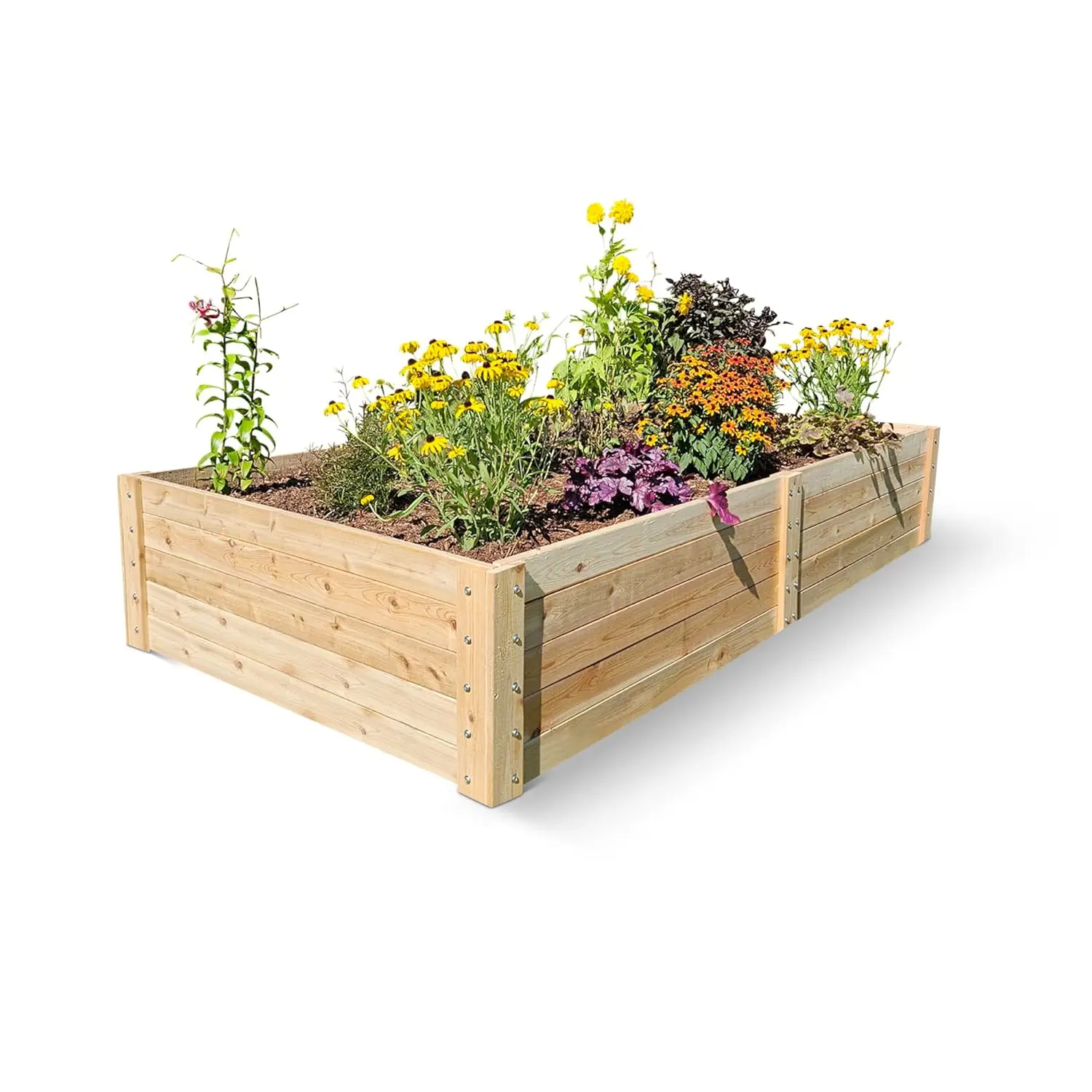 Садовая кровать Infinite Cedar Select Cedar Raised — 4 x 8 x 17,5 дюймов — ручная работа в мене из Северноамериканского западного красного кедра
Садовая кровать Infinite Cedar Select Cedar Raised — 4 x 8 x 17,5 дюймов — ручная работа в мене из Северноамериканского западного красного кедра