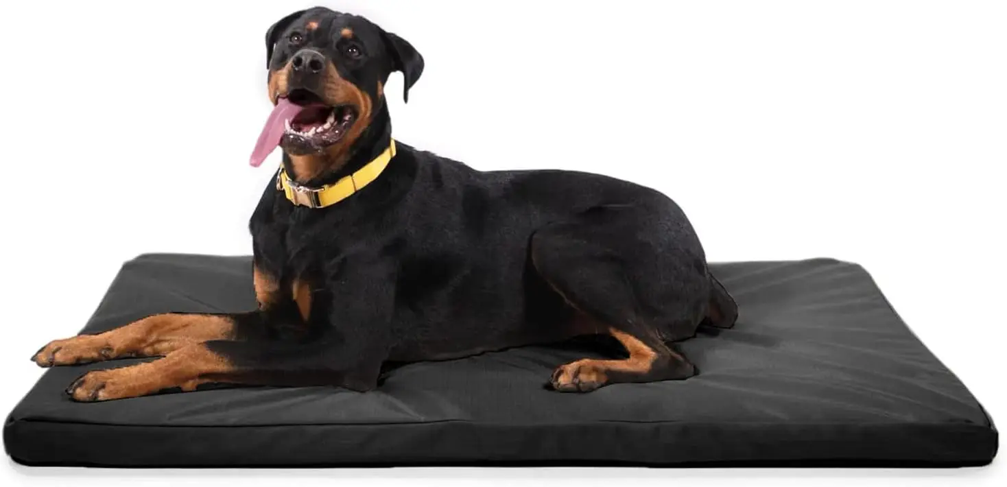 Tough Ripstop Orthopedic Crate Bed - Thick, Durable XL Kennel Pad with Washable Cover for Extra Large Dogs, 47 x 29 fi
Tough Ripstop Orthopedic Crate Bed - Thick, Durable XL Kennel Pad with Washable Cover for Extra Large Dogs, 47 x 29 fi