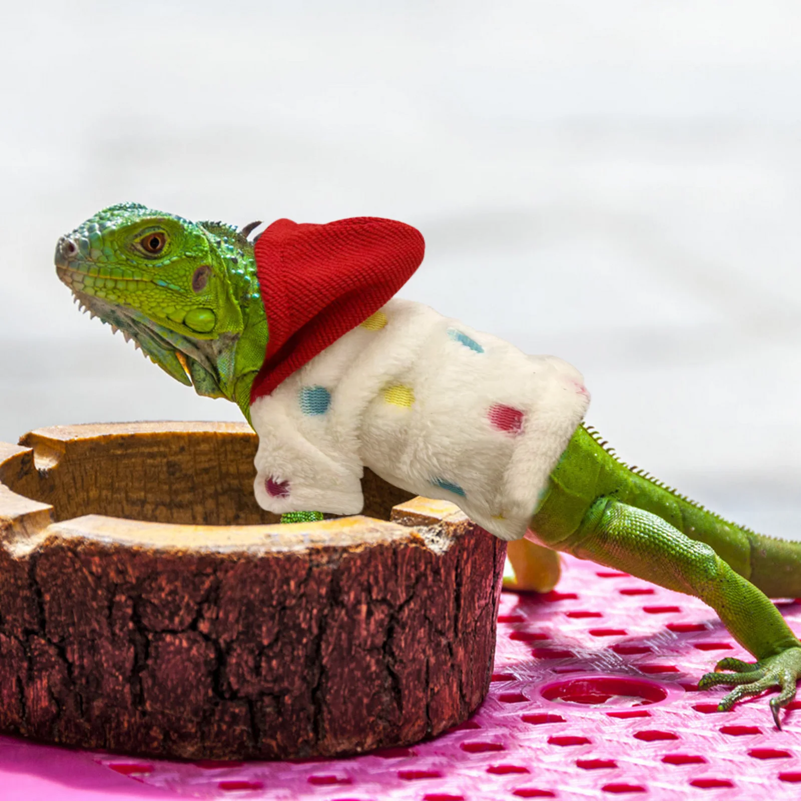 Adjustable Reptile Costume for Small Lizards - Cotton Pet Clothing with Quick Dry Feature - Trendy Lizard Fashion for Halloween
Adjustable Reptile Costume for Small Lizards - Cotton Pet Clothing with Quick Dry Feature - Trendy Lizard Fashion for Halloween